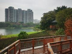 -广东花都湖国家湿地公园