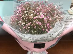 -荷兰花海