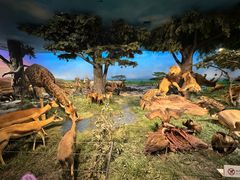 -国家自然博物馆