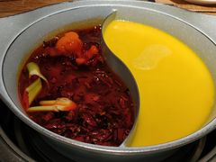 -青瓷火锅料理(西单大悦城店)