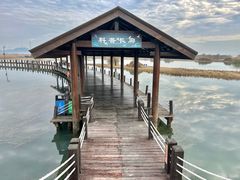 -太湖湖滨国家湿地公园-停车场