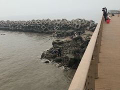 -东疆建设开发纪念公园