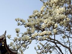 -西安市广仁寺