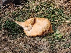 -杭州野生动物世界