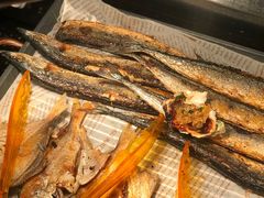 -海吃海喝海鲜烤肉炭火主题自助餐(朝阳店)