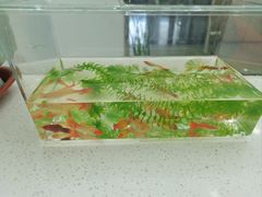 -格林豪泰酒店(合肥步行街大东门地铁站店)