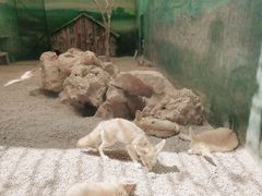 -昆明动物园