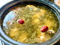 -蘑统田下·野生菌火锅