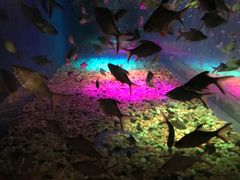 -成都浩海立方海洋公园