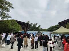 -广东惠东海龟国家级自然保护区