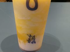 -春丽小马(济南恒隆广场店)
