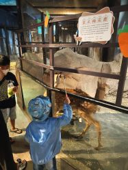 -酷嗒动物文化乐园(cutezoo西溪乐天城店)