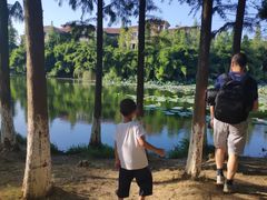 -艾溪湖湿地公园