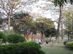 -洲头咀公园