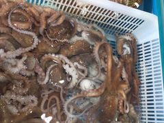 -港畔赶海蒸汽海鲜烧烤自助(仙螺岛店)