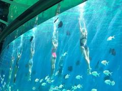 -瑞德姆美人鱼海底演艺主题餐厅(亚龙湾店)