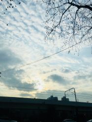 -金太子形象设计