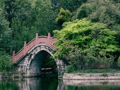 -棠湖公园