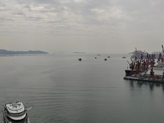 -招商蛇口邮轮母港(观光客运)