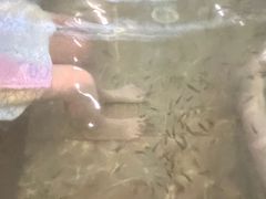 -常州环球恐龙城维景国际大酒店