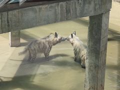 -杭州野生动物世界
