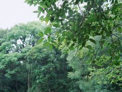 -南京珍珠泉风景区