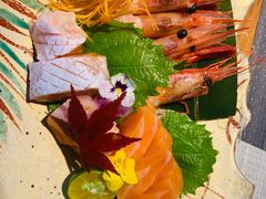 -森味薪火烧•烧鸟居酒屋•日本料理(望京店)