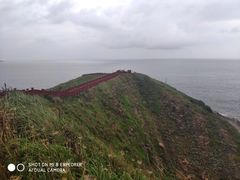 -枸杞岛