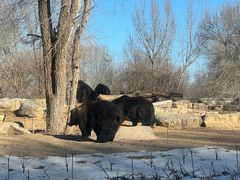 -北京野生动物园