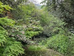 -杭州半山国家森林公园