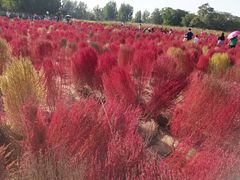 -汉长安城未央宫国家考古遗址公园