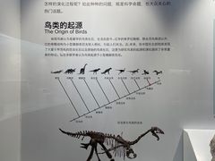-重庆自然博物馆(新馆)