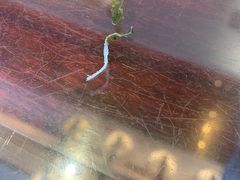 -熙盛源(滨湖万达店)