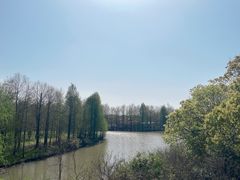 -上海海湾国家森林公园