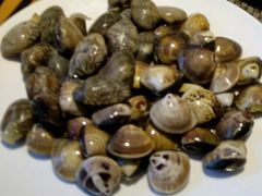 -金陵江南大饭店