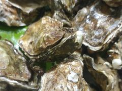 -集杰尚品海鲜烤肉自助餐厅(乳山振华店)