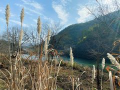 -石台牯牛降景区