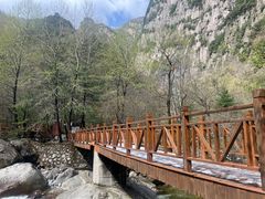 -青峰峡国家森林公园