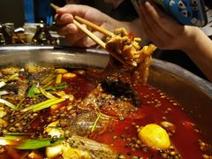 -宽口美蛙鱼头(大唐西市店)