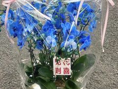 -F.Story 花和故事(新天地店)