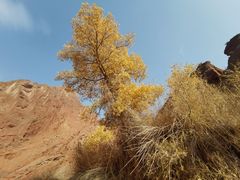 -天山神秘大峡谷