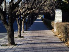 -吉林大学(前卫南区)