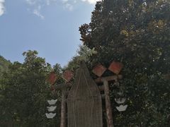 -遂昌金矿国家矿山公园
