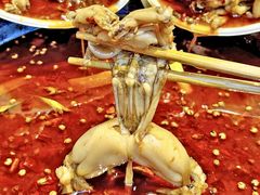 -蛙老爹·蜀香美蛙鱼头(王家湾店)