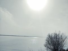 -哈素海