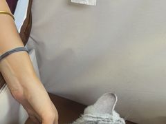 -美联众合动物医院·24h转诊中心