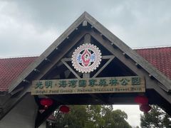 -上海海湾国家森林公园