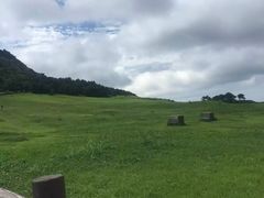 -涉地可支