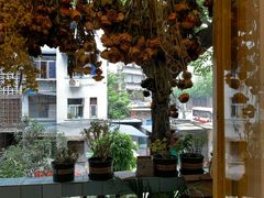 -知物癖(牛王庙店)