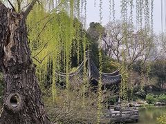-红梅公园